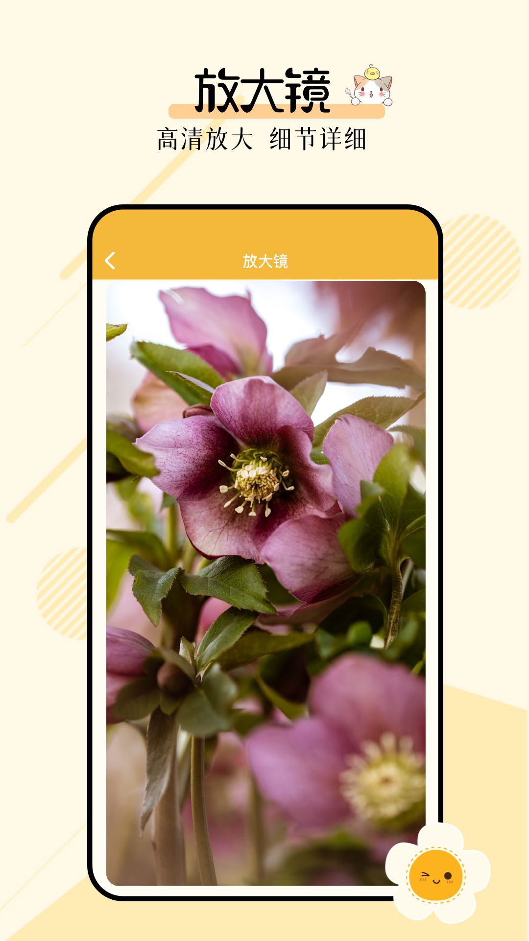 多功能小组件截图4