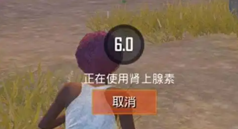 绝地求生注射器干啥用的