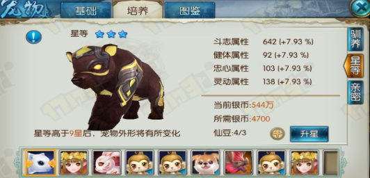 新诛仙手游棕小熊稀有在哪里抓