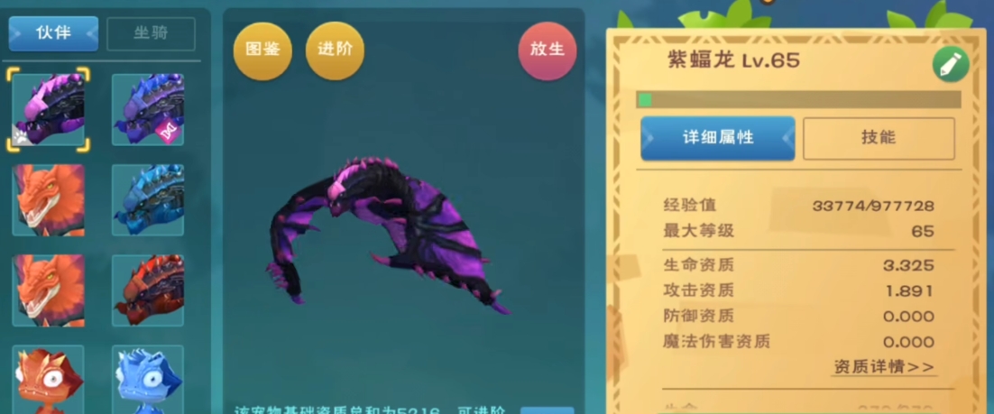 创造与魔法宠物怎么喂