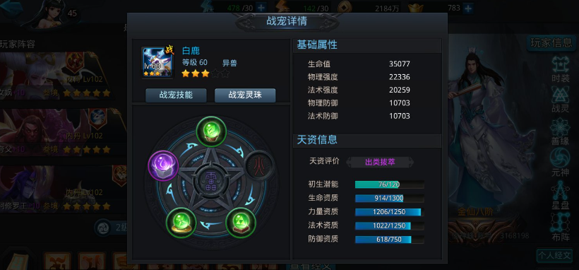 乱斗西游2战宠怎么玩