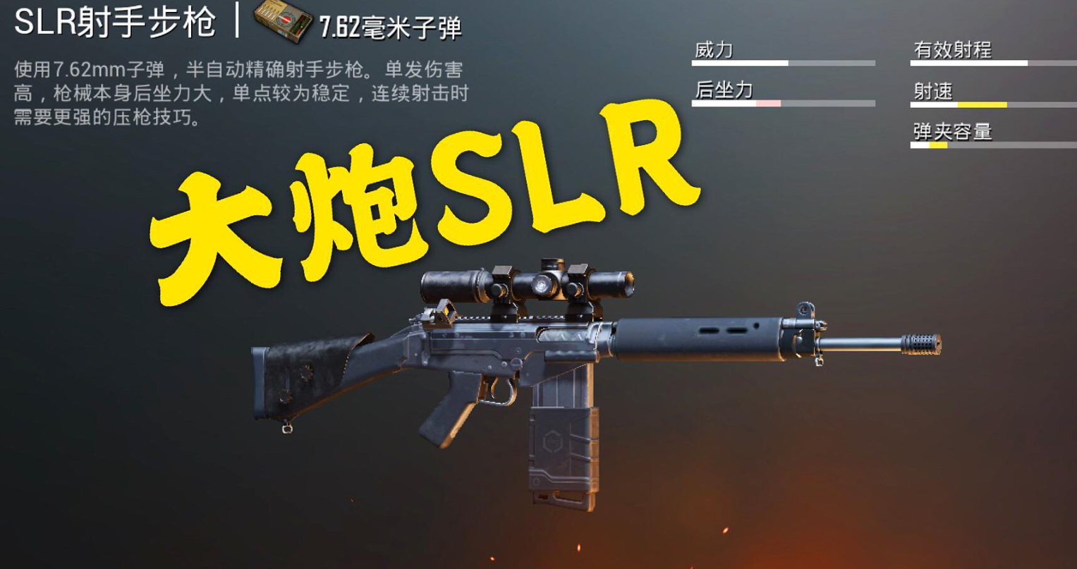 绝地求生射手步枪有哪些