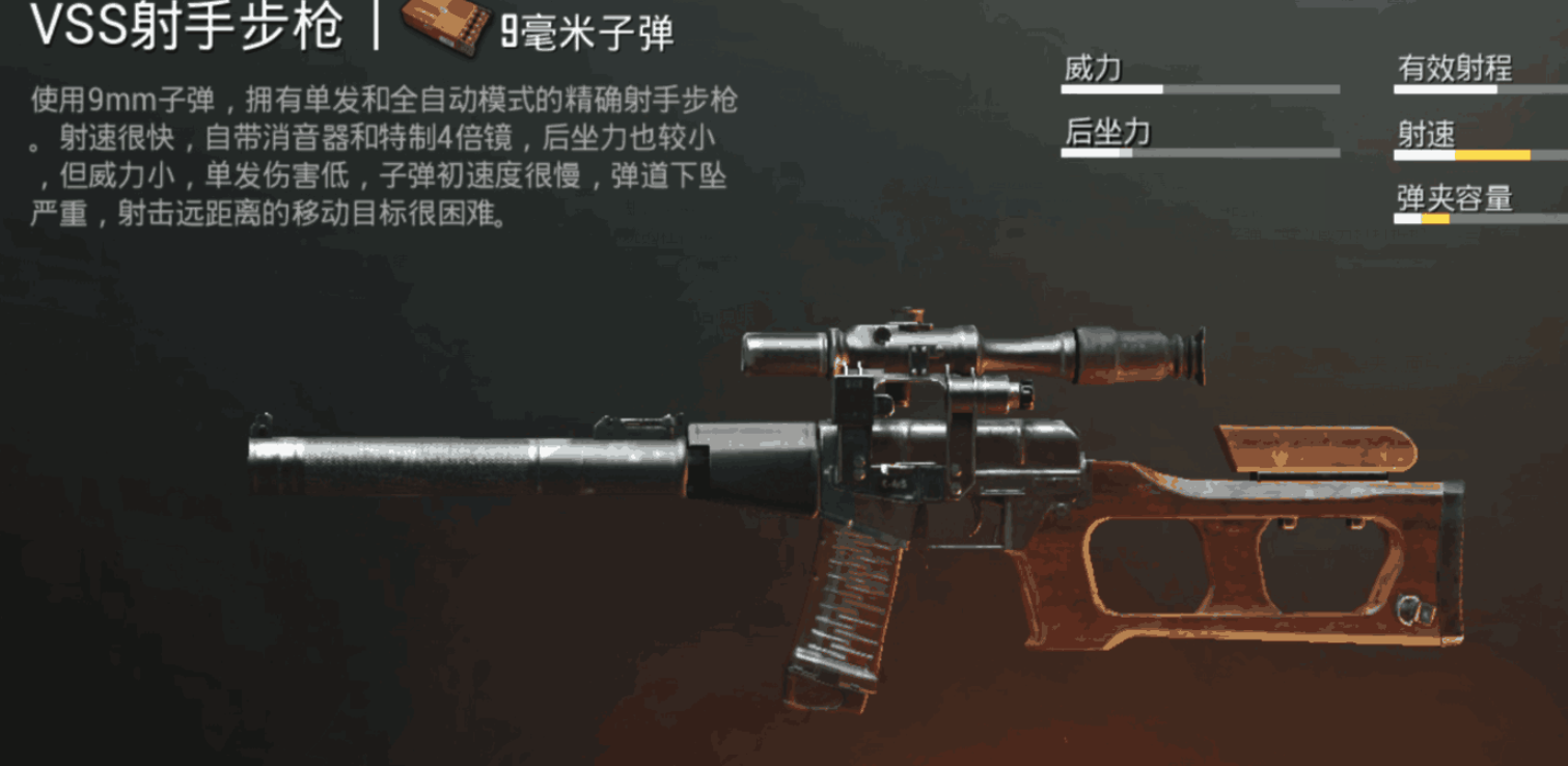 绝地求生射手步枪有哪些