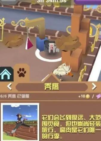 疯狂动物园的秃鹫有哪些
