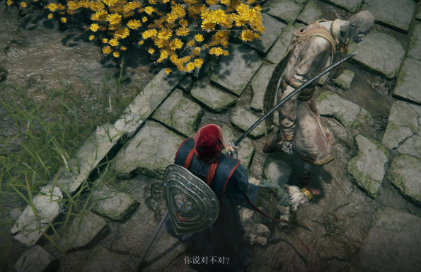 艾尔登法环小圆盾在哪