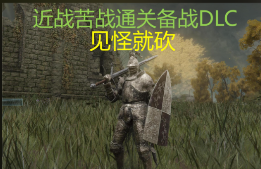 艾尔登法环后期什么职业厉害 艾尔登法环后期什么职业厉害