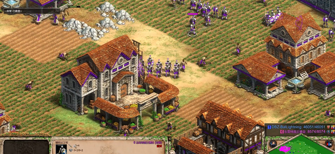 帝国时代2九大战术开局怎么玩的