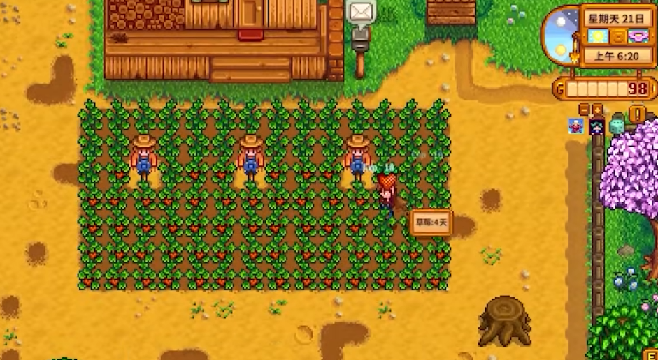 星露谷物语第二年干什么