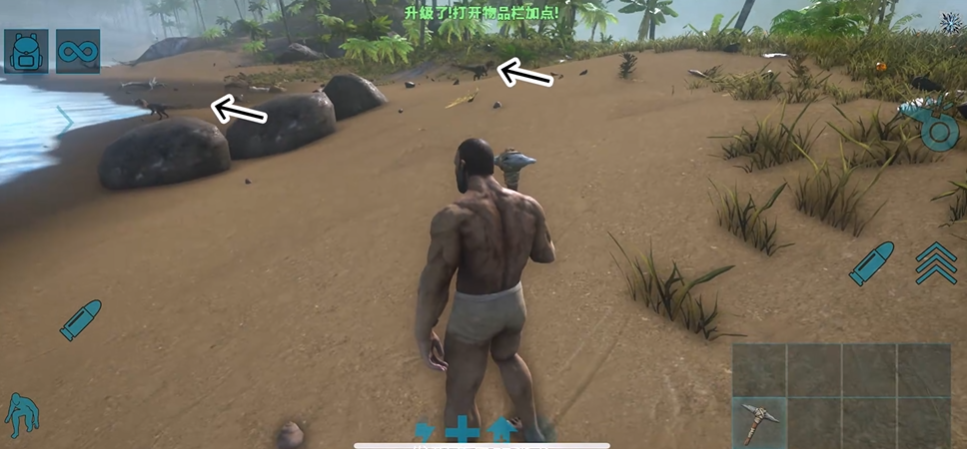 方舟生存进化手游开局怎么玩 方舟生存进化手游开局怎么玩