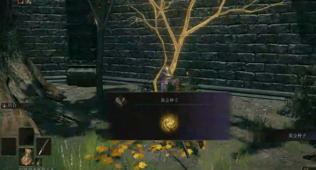 艾尔登法环主线顺序怎么过 艾尔登法环主线顺序怎么过