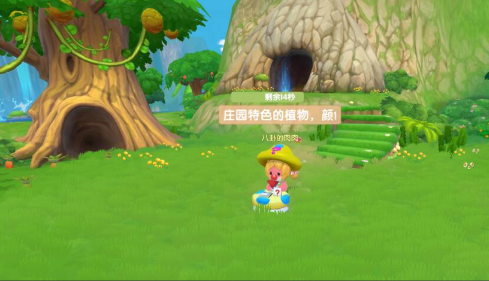 摩尔庄园怎么进行志愿 摩尔庄园怎么进行志愿