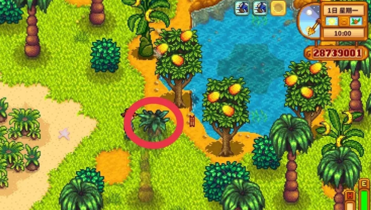 星露谷物语金核桃有什么用