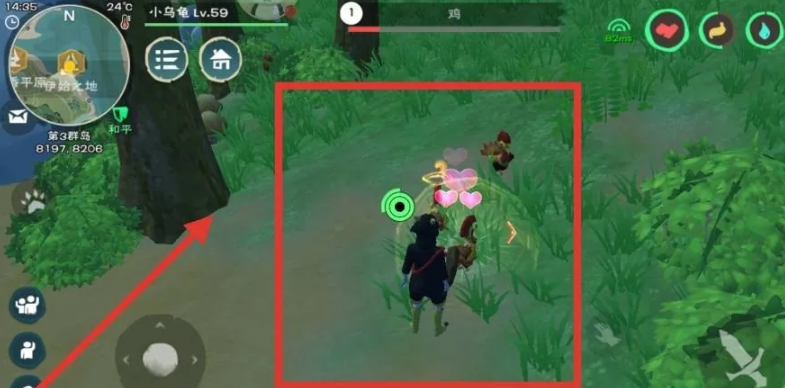 创造与魔法鸡吃啥生产鸡蛋