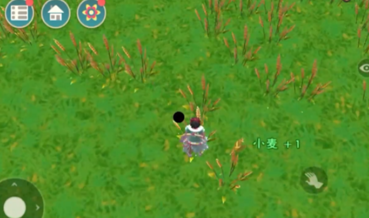 创造与魔法鸡吃啥生产鸡蛋