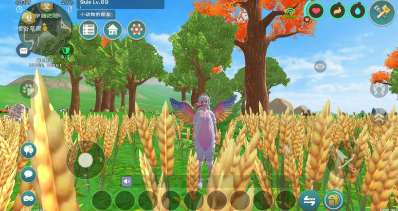 创造与魔法喂宠物饲料在哪里 创造与魔法喂宠物饲料在哪里