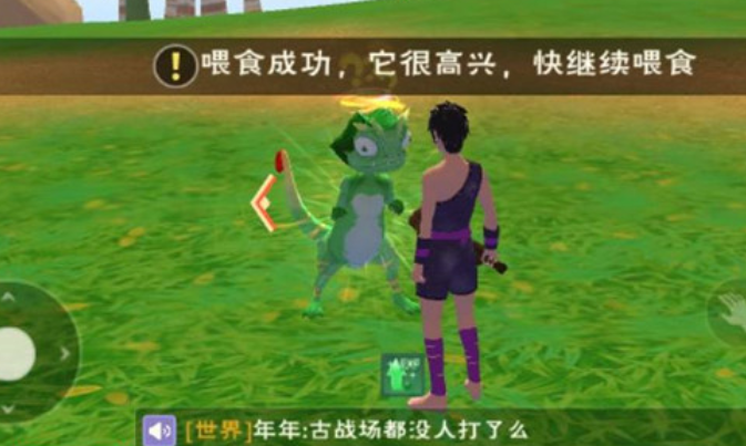 创造与魔法绿蜥蜴怎么抓 创造与魔法绿蜥蜴怎么抓