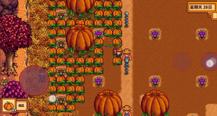 星露谷物语第一年秋天种什么 星露谷物语第一年秋天种什么