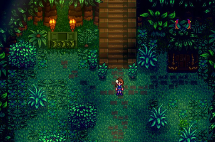 星露谷物语姜岛博物馆怎么开 星露谷物语姜岛博物馆怎么开