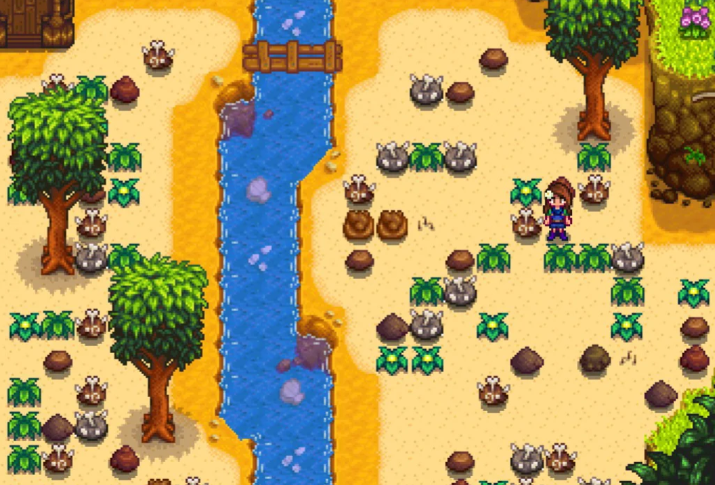 星露谷物语姜岛博物馆怎么开 星露谷物语姜岛博物馆怎么开