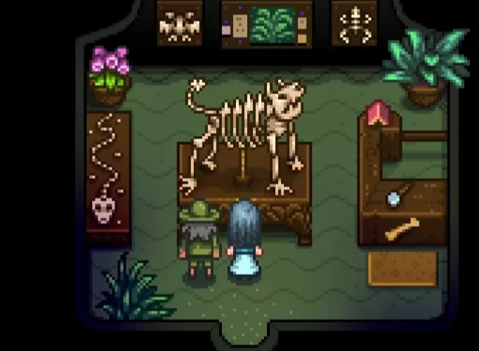 星露谷物语姜岛博物馆怎么开