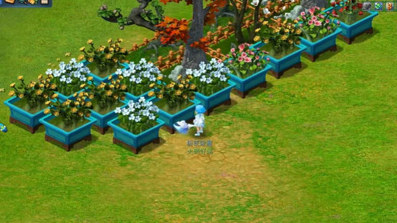 梦幻西游如何饲养宝宝