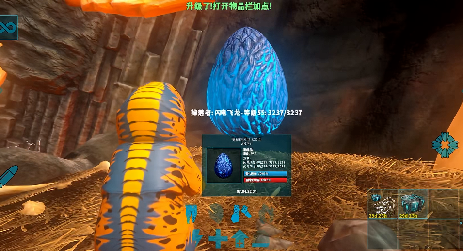 方舟生存进化手游版飞龙谷在哪