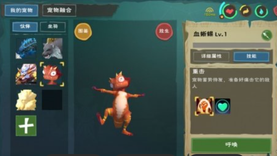 创造与魔法钓鱼带什么宠物合适