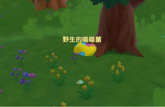摩尔庄园野生蘑菇怎么得到