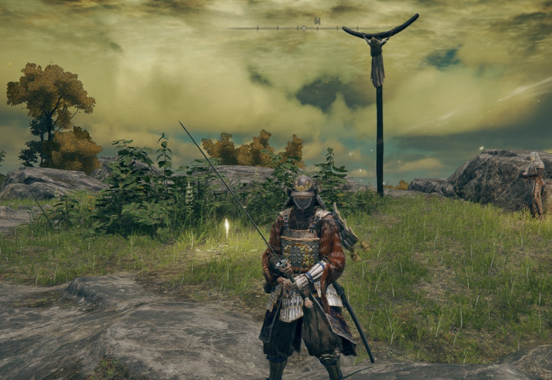 艾尔登法环武士毕业怎么加点