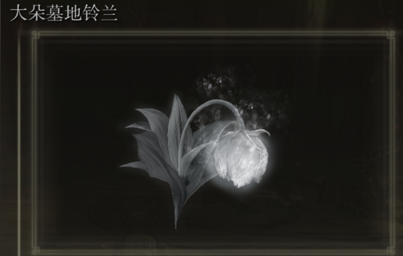 艾尔登法环新手收集什么 艾尔登法环新手收集什么