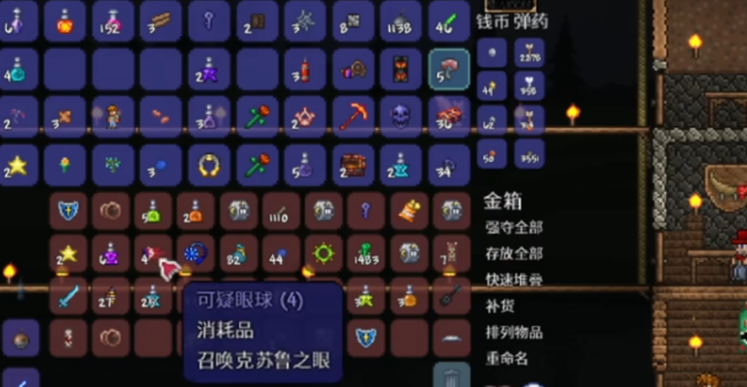 泰拉瑞亚可疑眼球有什么用