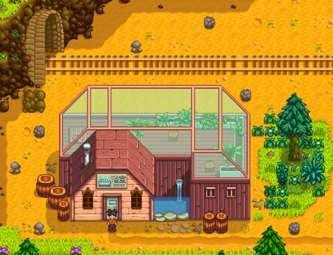 星露谷物语怎么一起泡温泉