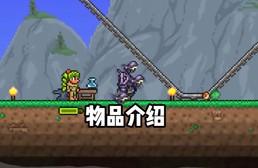 泰拉瑞亚甲虫套怎么做