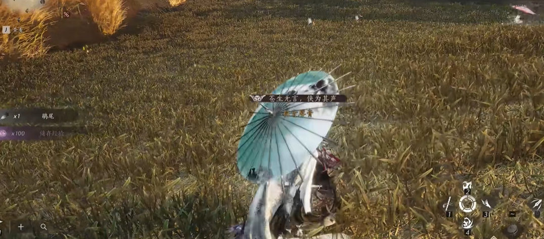 燕云十六声望河屯在哪里