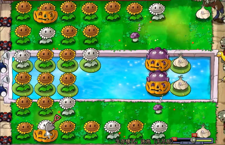 植物大战僵尸无尽怎么开局